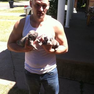 Meet your Posher, Michael